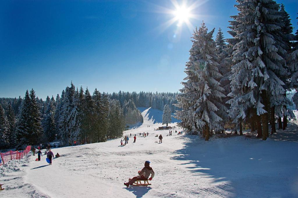 Aparthotel Oberhof Оберхоф Экстерьер фото
